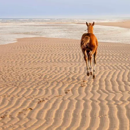 Pluk 2 Personen Zeezand Recreatie Stolpen