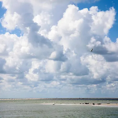 Pluk 2 Personen Zeezand Recreatie