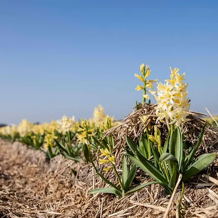 Pluk 2 Personen Zeezand Recreatie Stolpen