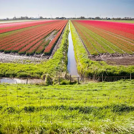 بيت للعطل Pluk 2 Personen Zeezand Recreatie