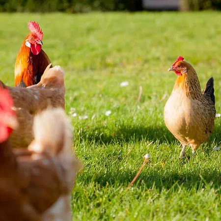 Pluk 2 Personen Zeezand Recreatie *